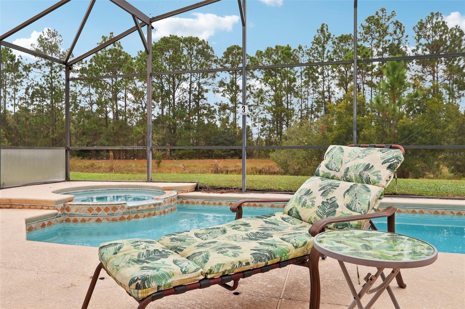 334 ORANGE COSMOS BLVD, DAVENPORT, FL — photo 12