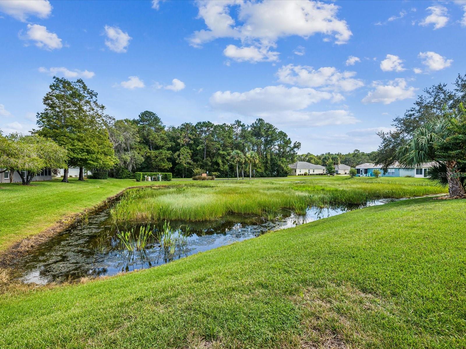 11404 TURTLE DOVE PL, NEW PORT RICHEY, FL — photo 35