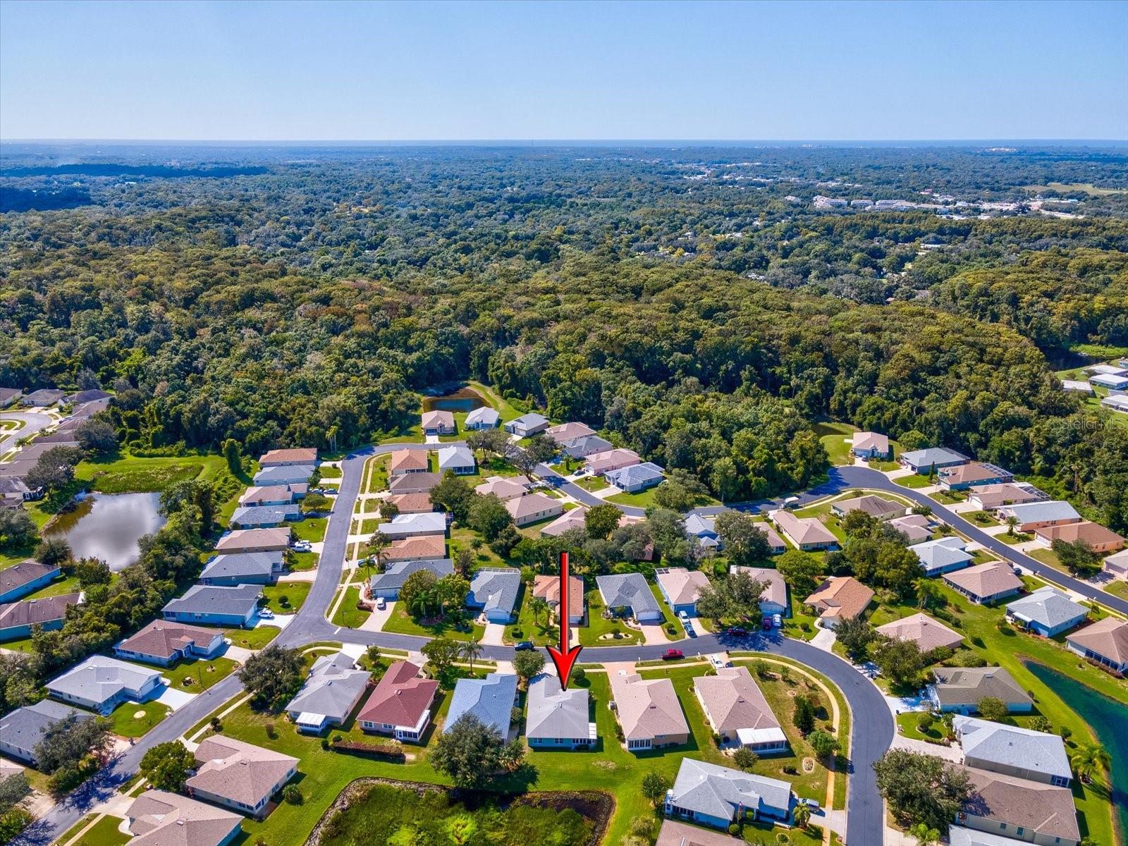 11404 TURTLE DOVE PL, NEW PORT RICHEY, FL — photo 41