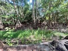 14427 SE 183RD PL, HAWTHORNE, FL — photo 8