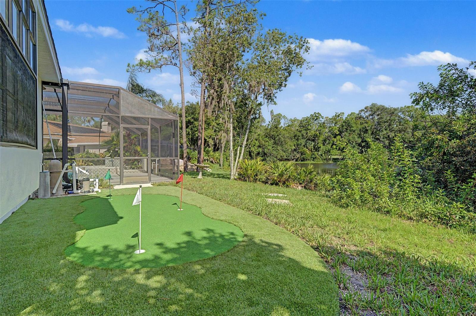 35 GREENHAVEN TRL, OLDSMAR, FL — photo 52