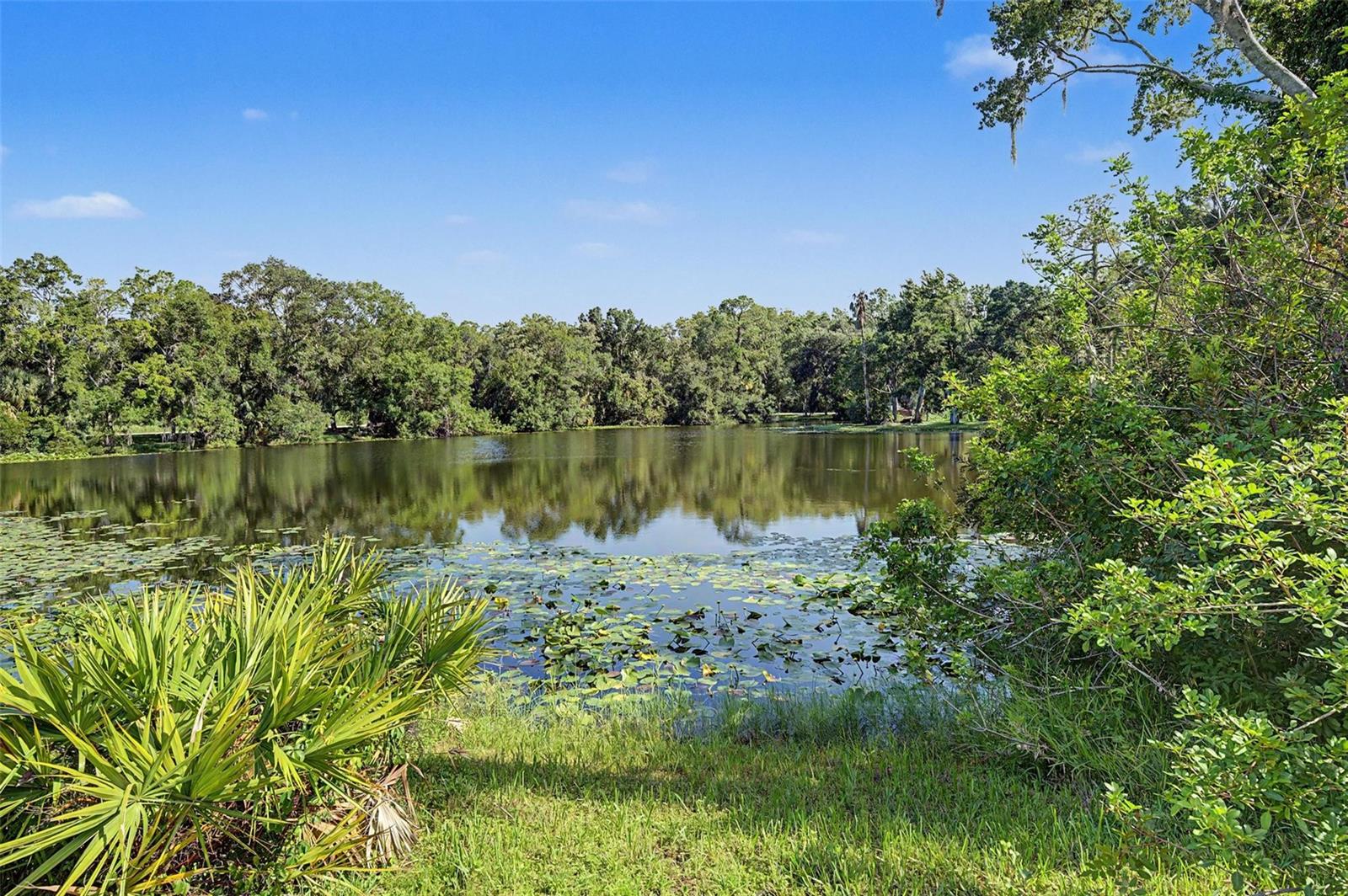 35 GREENHAVEN TRL, OLDSMAR, FL — photo 55