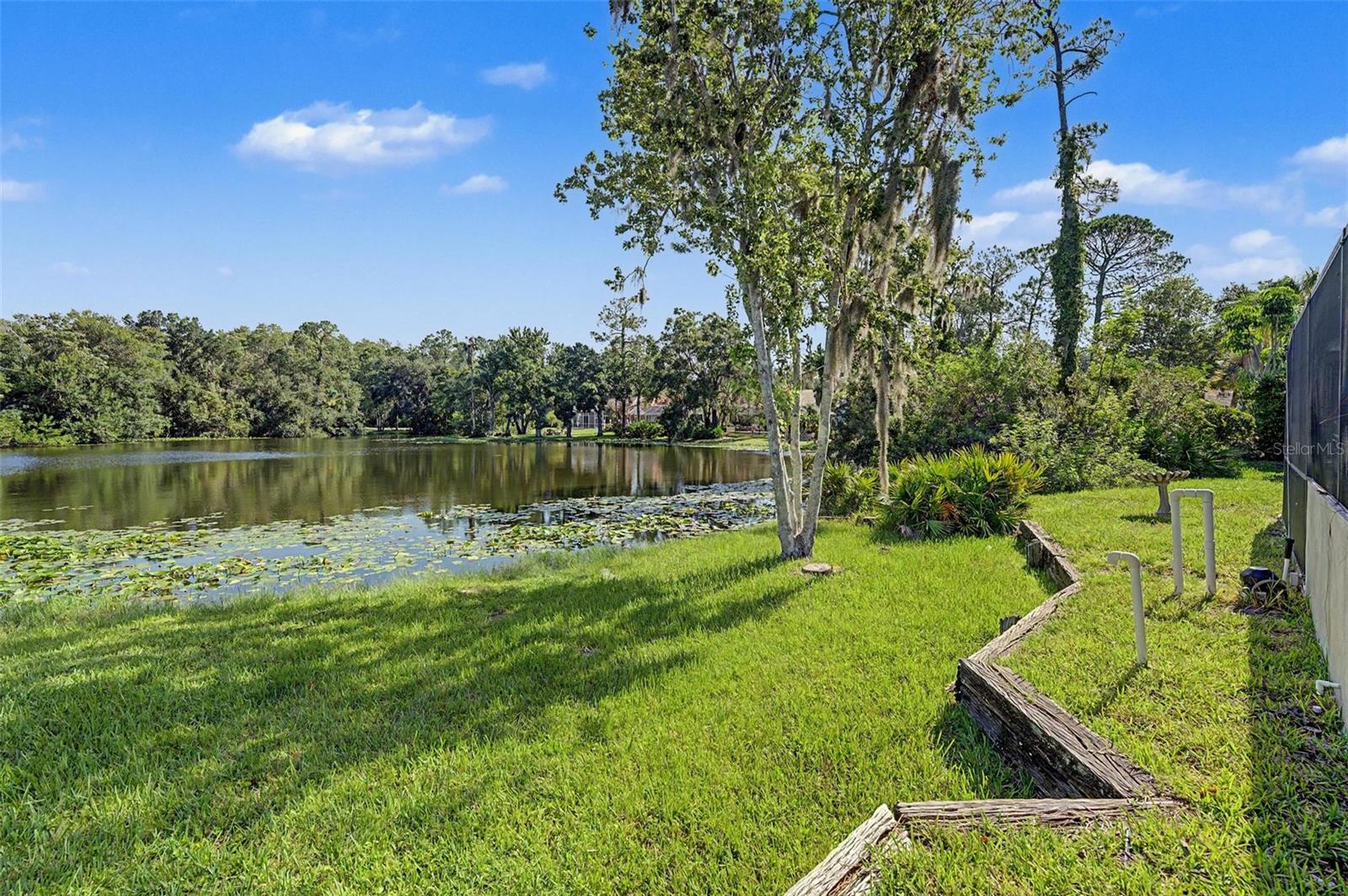 35 GREENHAVEN TRL, OLDSMAR, FL — photo 56