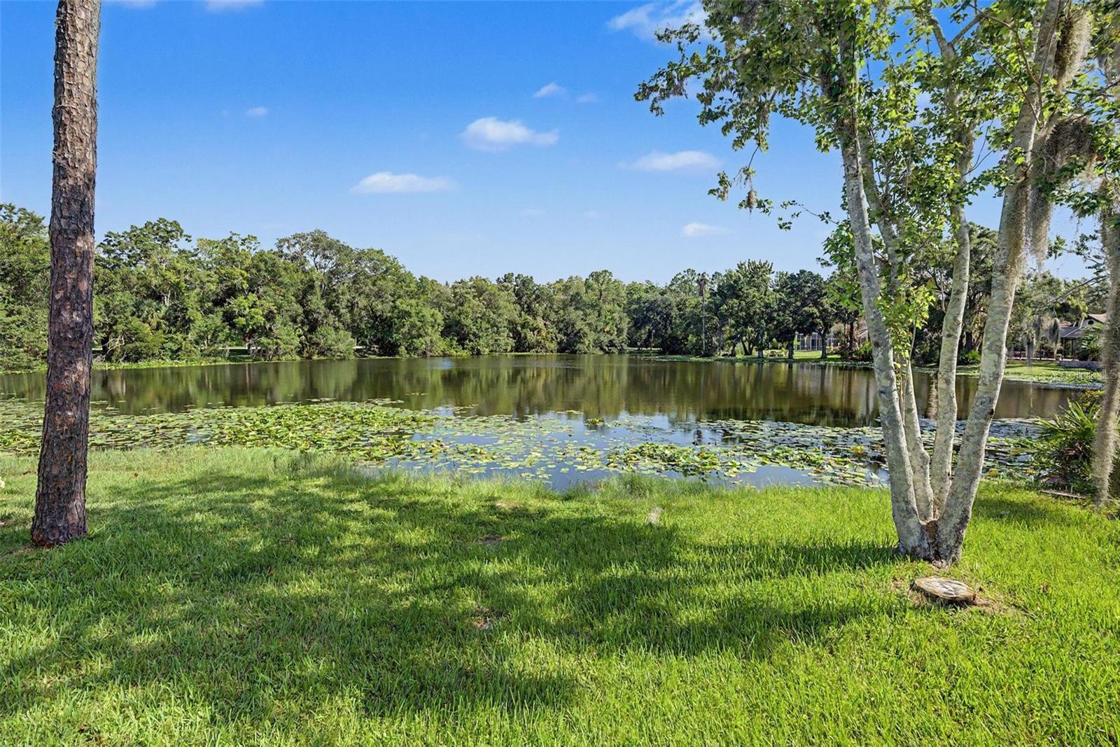 35 GREENHAVEN TRL, OLDSMAR, FL — photo 57