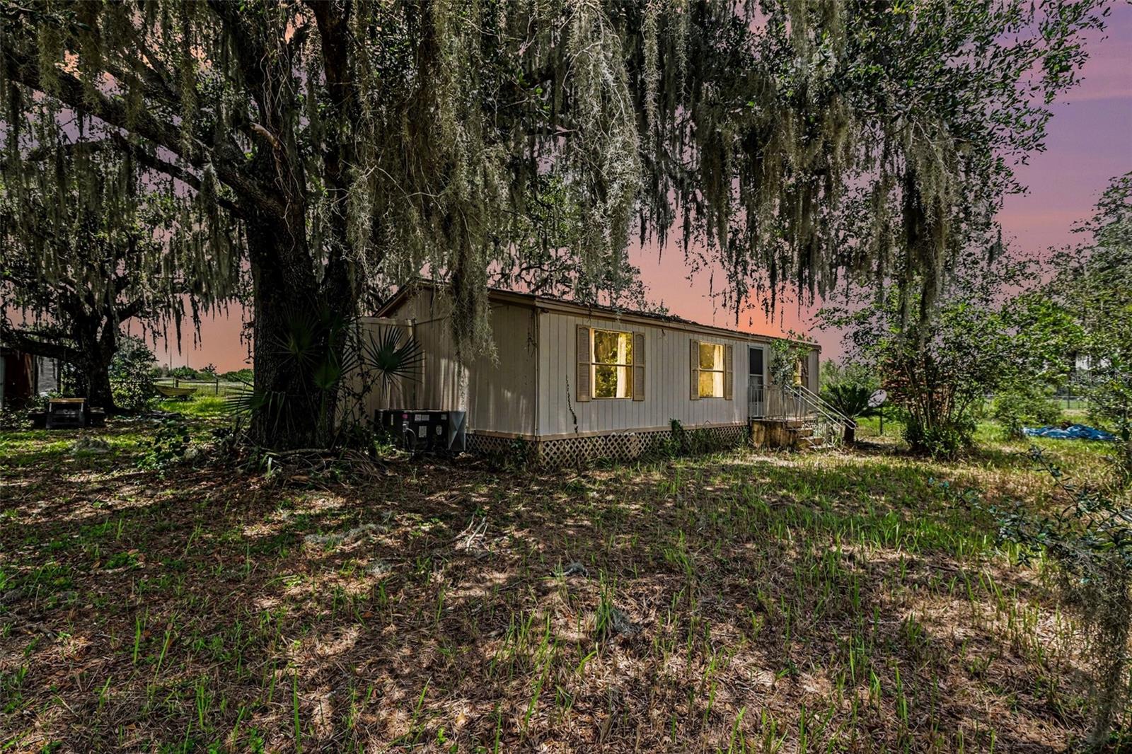 10239 LYONS AVE, LITHIA, FL — photo 4