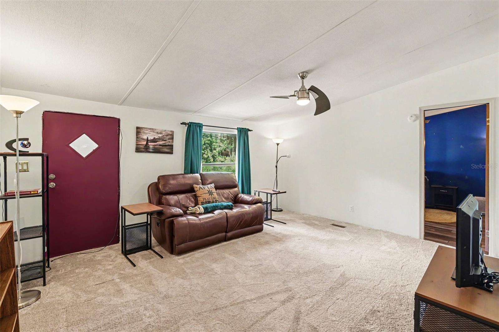 10239 LYONS AVE, LITHIA, FL — photo 10
