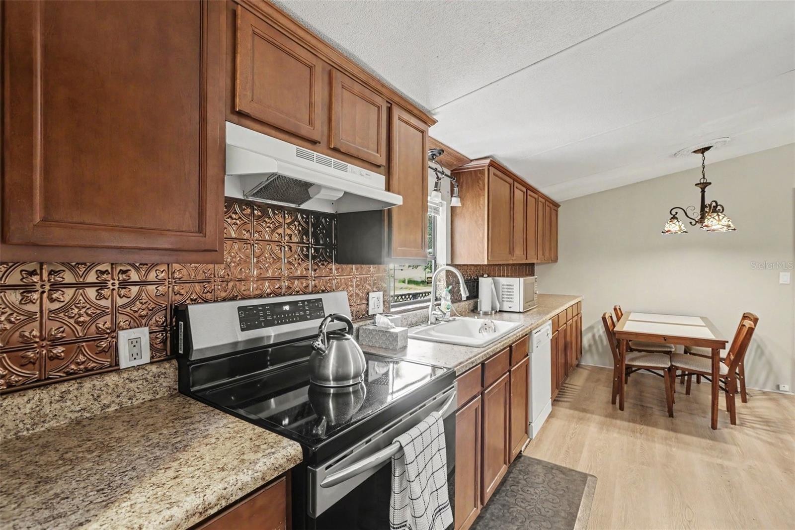 10239 LYONS AVE, LITHIA, FL — photo 15