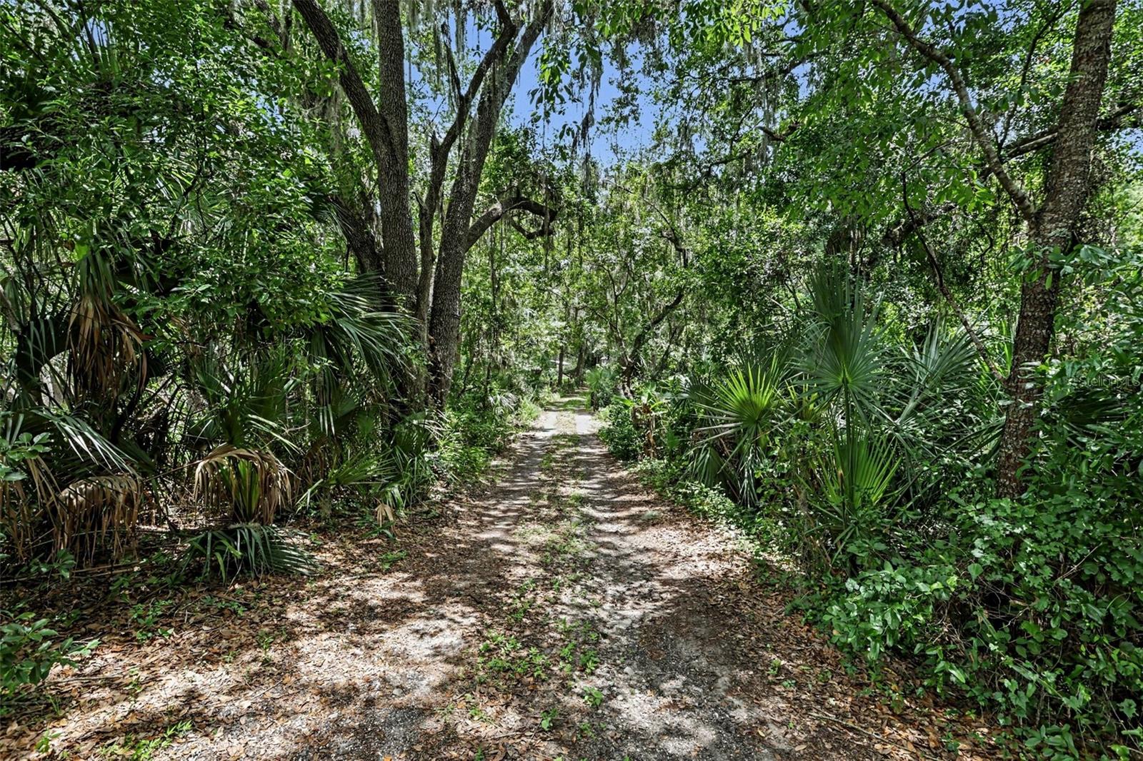 10239 LYONS AVE, LITHIA, FL — photo 27