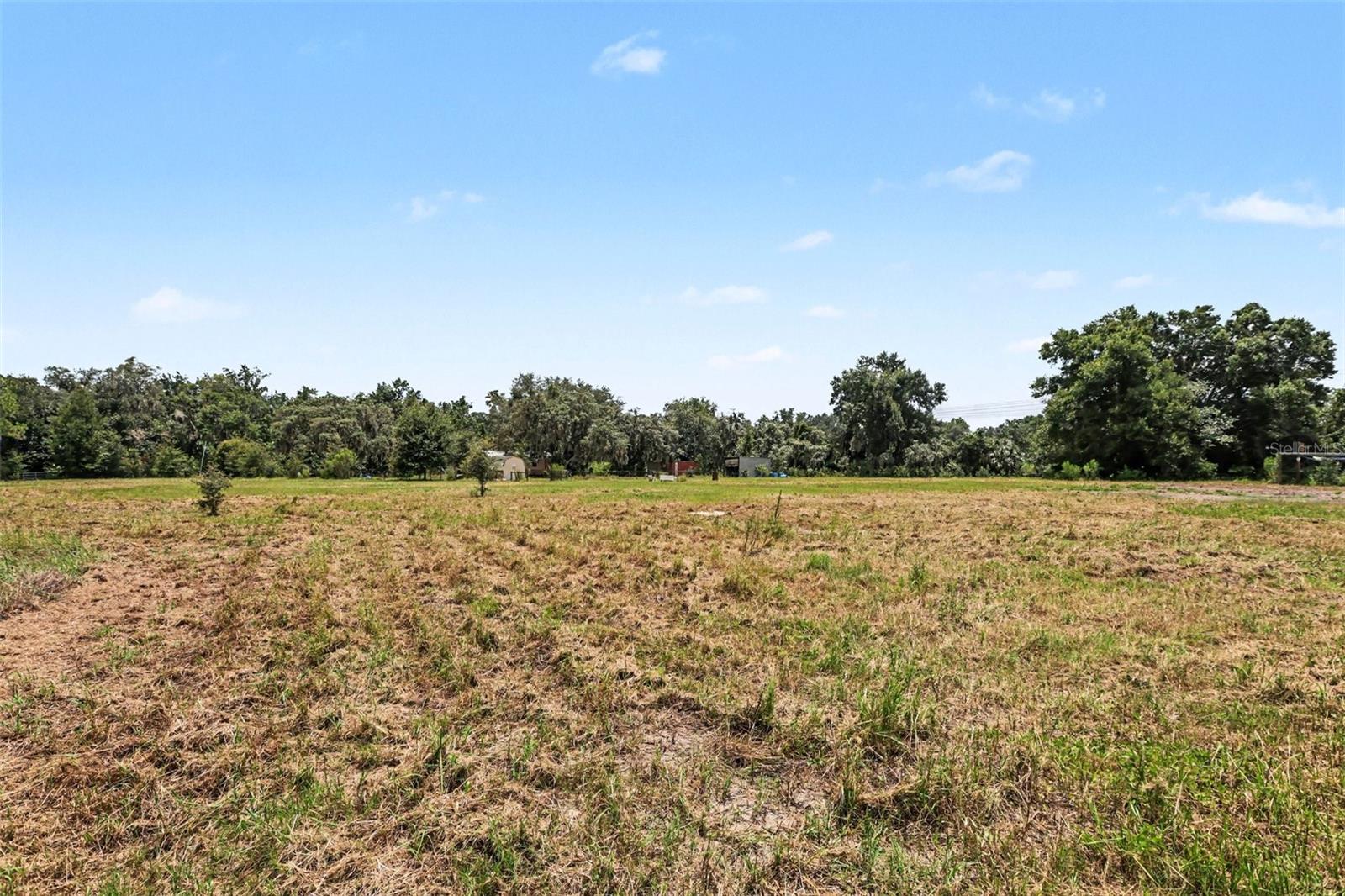 10239 LYONS AVE, LITHIA, FL — photo 28