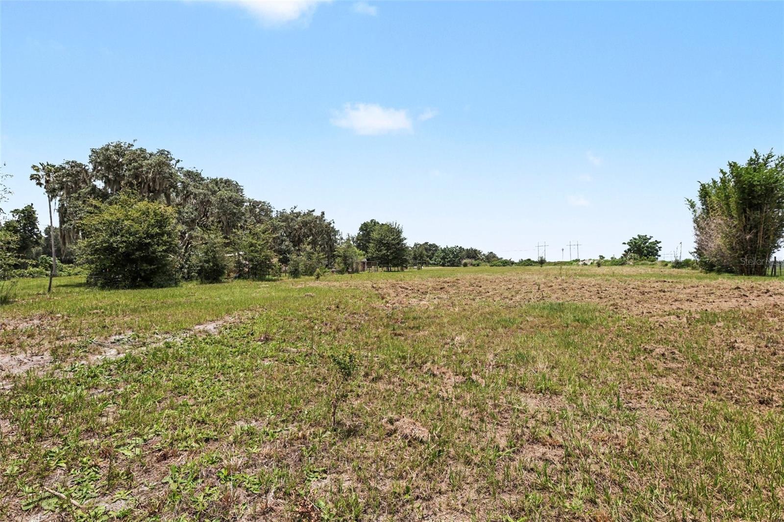 10239 LYONS AVE, LITHIA, FL — photo 30