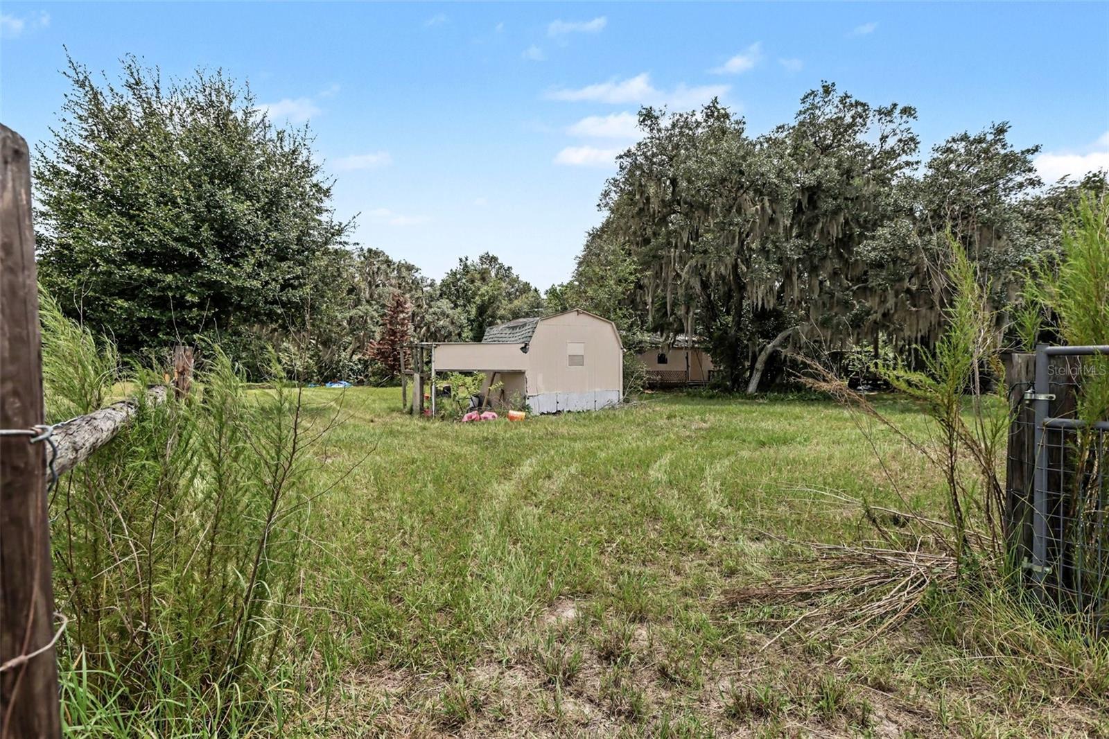 10239 LYONS AVE, LITHIA, FL — photo 36