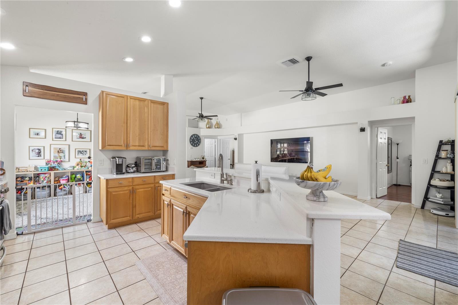 30923 IVERSON DR, WESLEY CHAPEL, FL — photo 22
