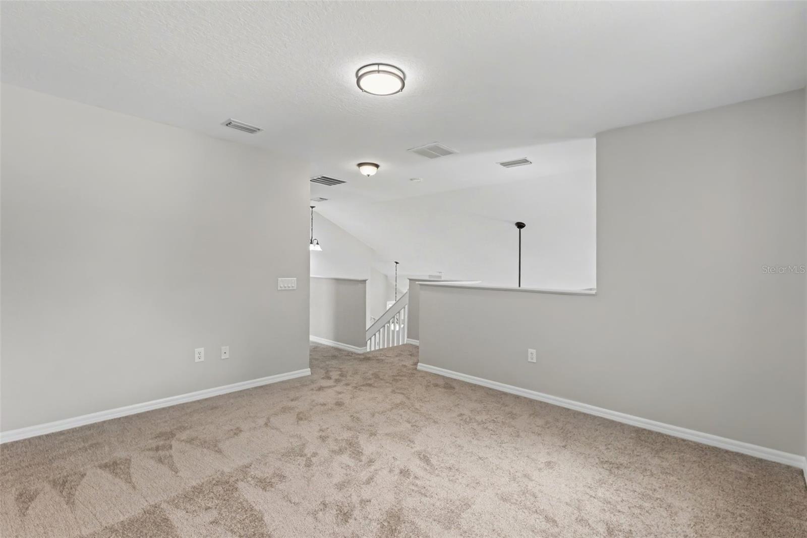 13013 TRIBUTE DR, RIVERVIEW, FL — photo 15