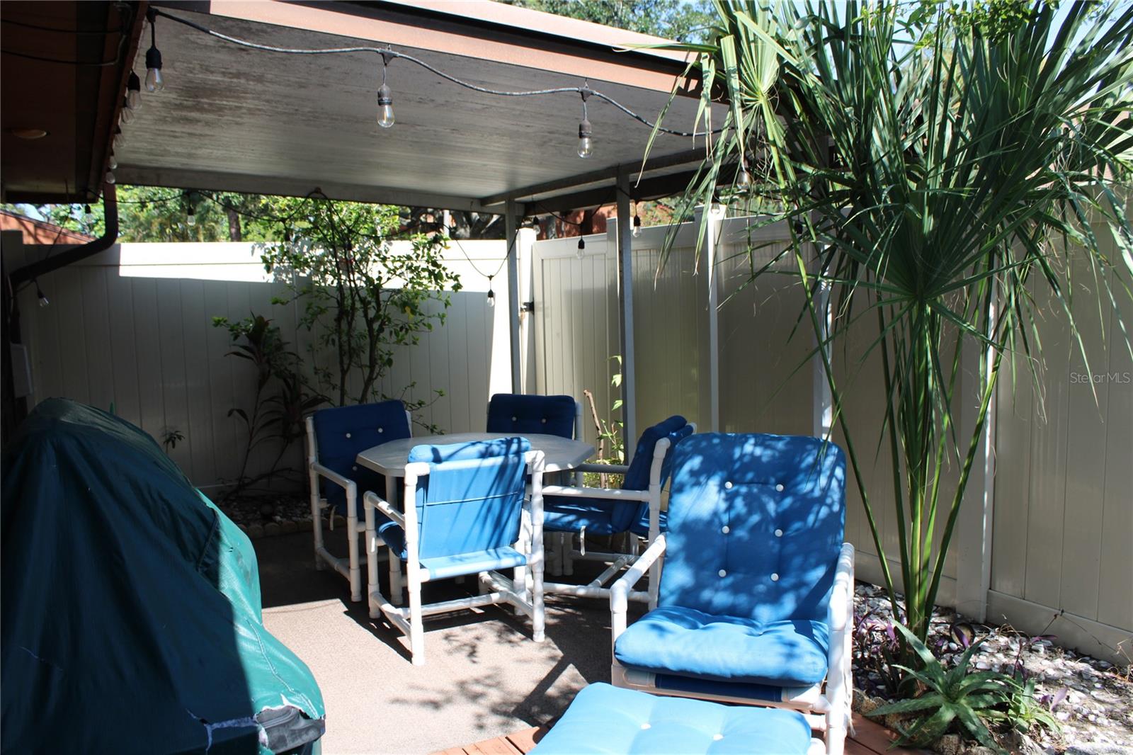2054 SUNSET POINT RD #38, CLEARWATER, FL — photo 24