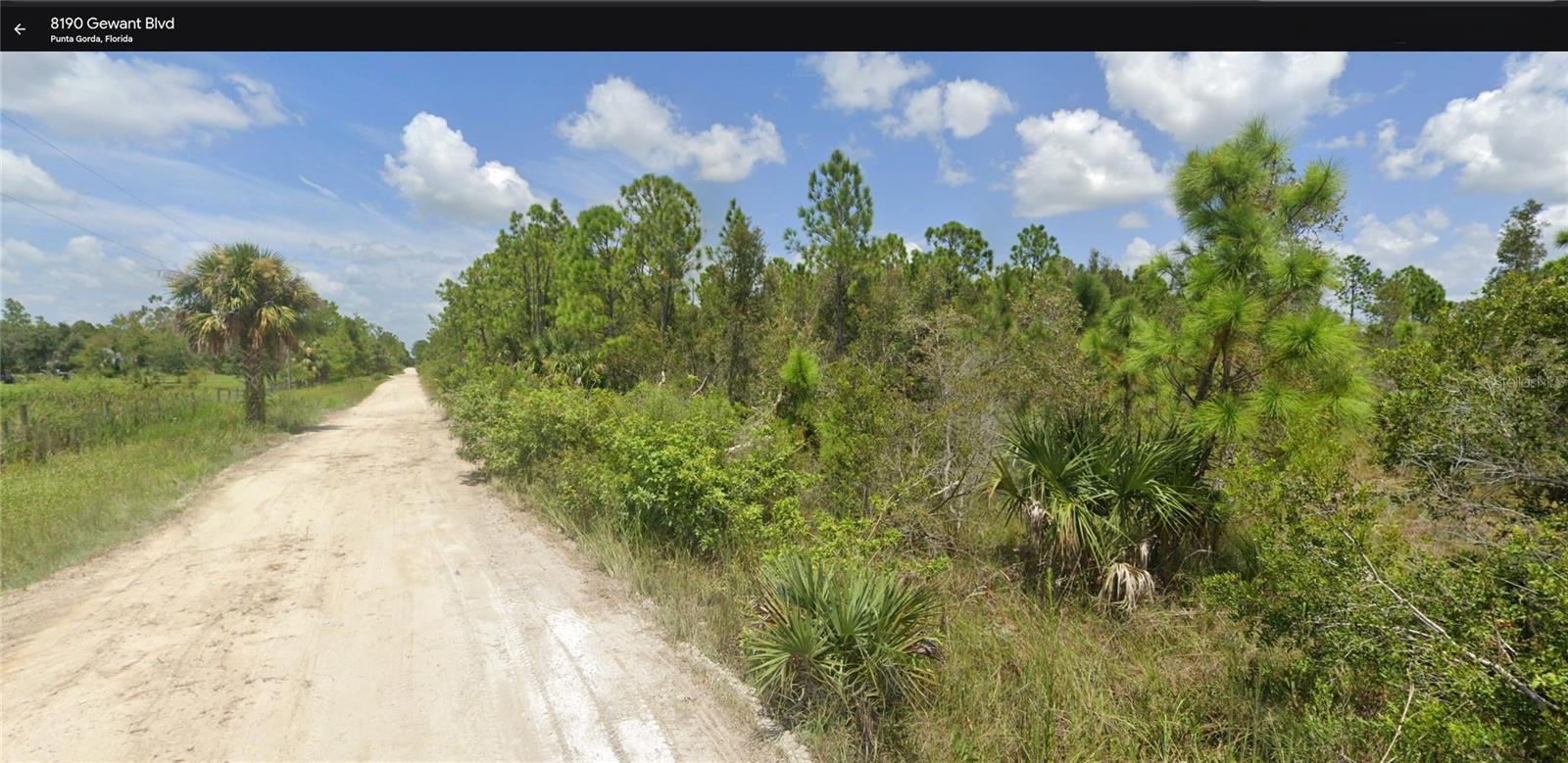8190 GEWANT BLVD, PUNTA GORDA, FL — photo 2