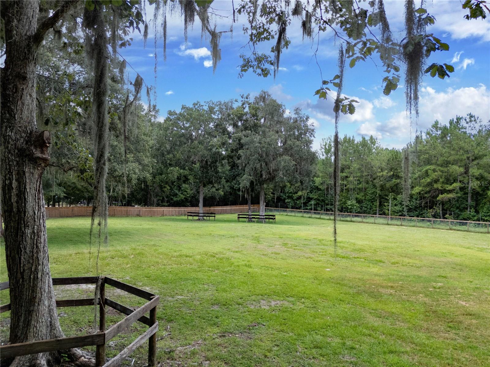 18251 NW 141ST AVE, WILLISTON, FL — photo 67