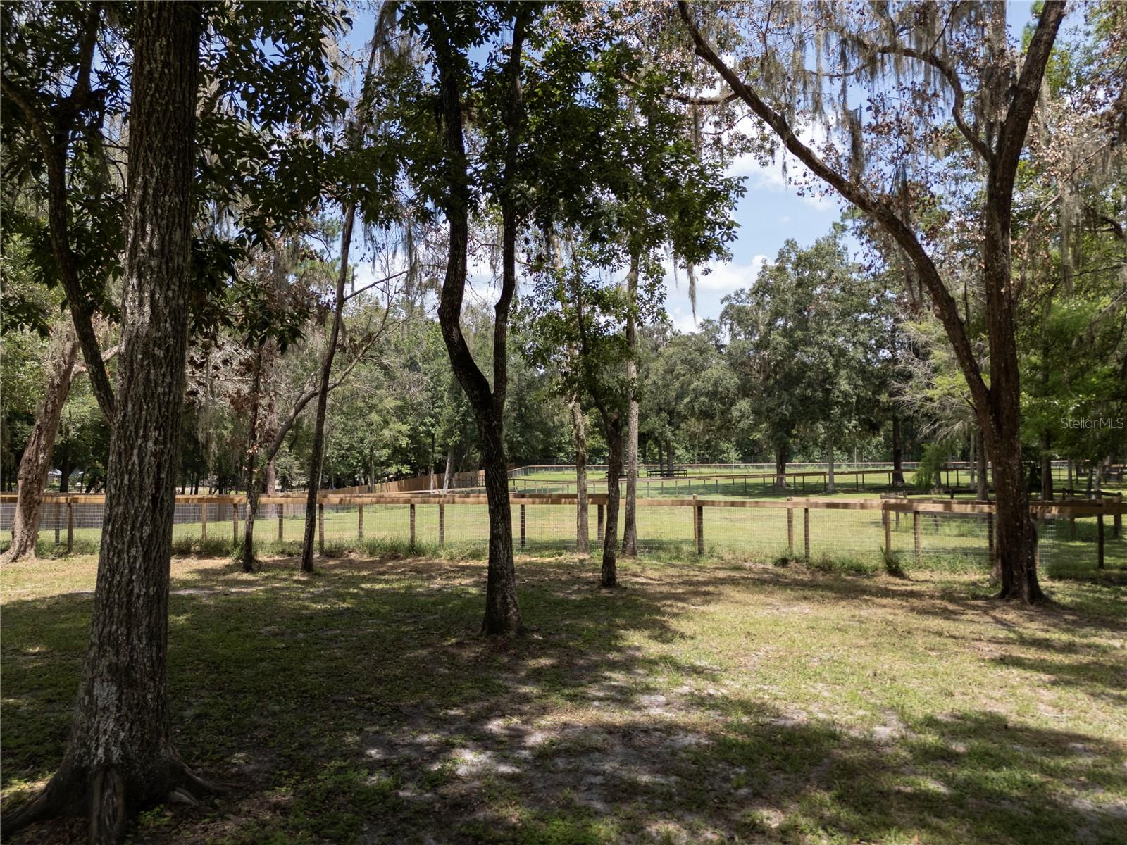 18251 NW 141ST AVE, WILLISTON, FL — photo 71
