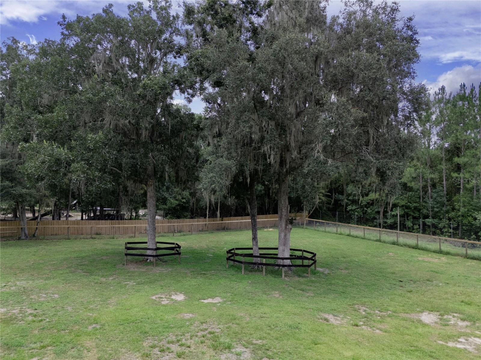 18251 NW 141ST AVE, WILLISTON, FL — photo 68