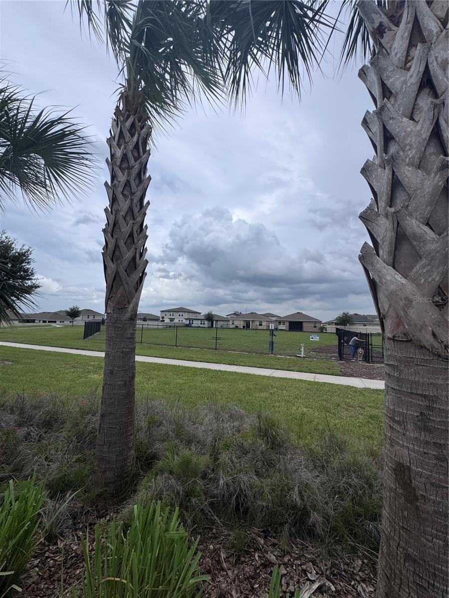 641 GRIFFON AVE, LAKE ALFRED, FL — photo 41