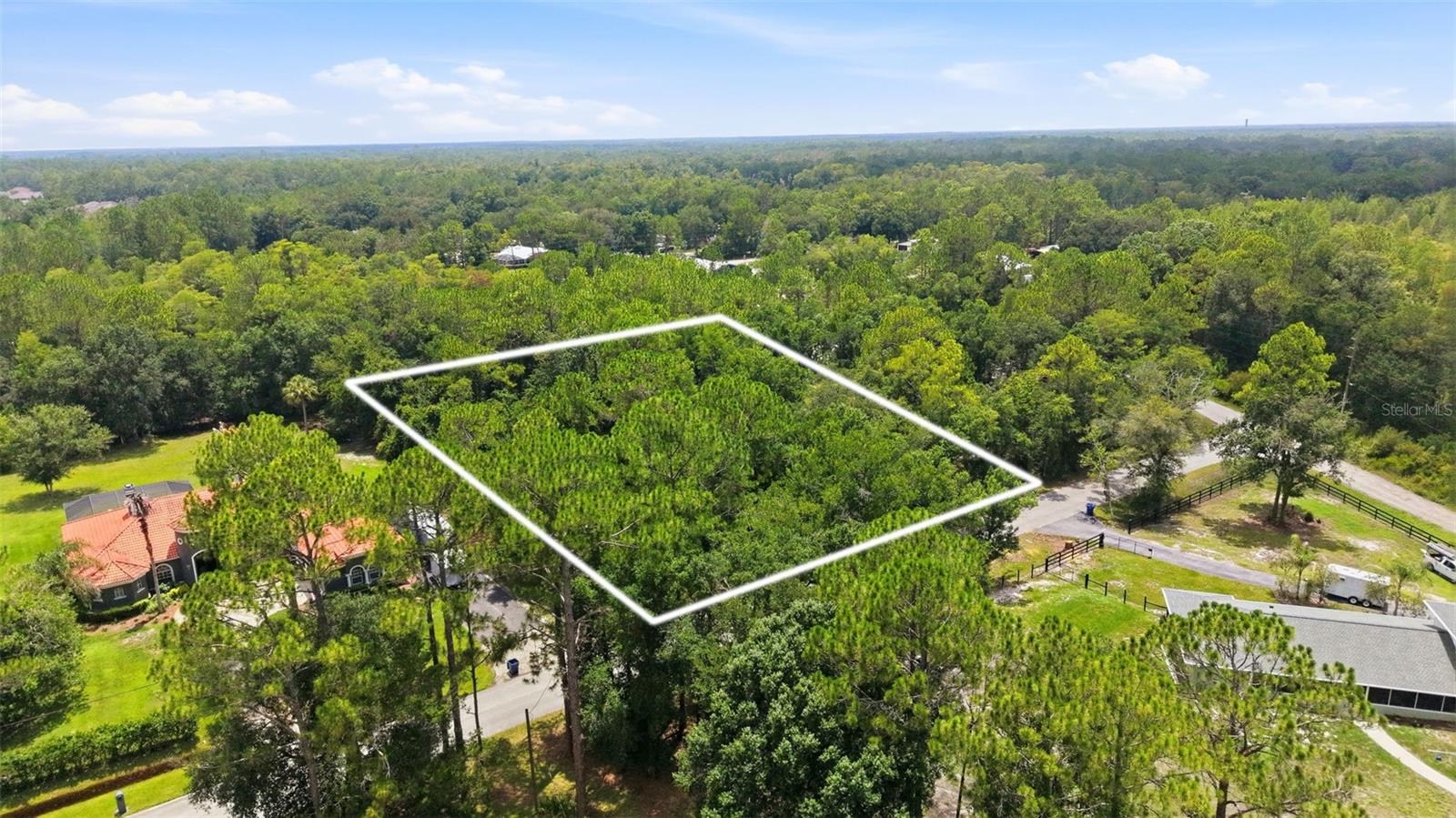 RAVEN BROOK RD, WESLEY CHAPEL, FL — photo 2