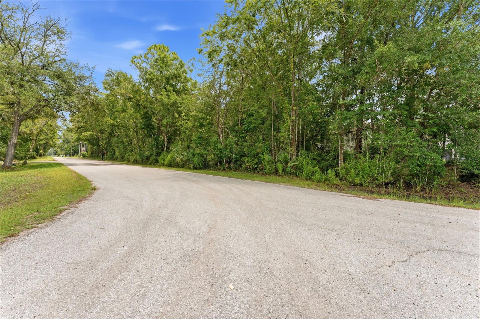 RAVEN BROOK RD, WESLEY CHAPEL, FL — photo 4