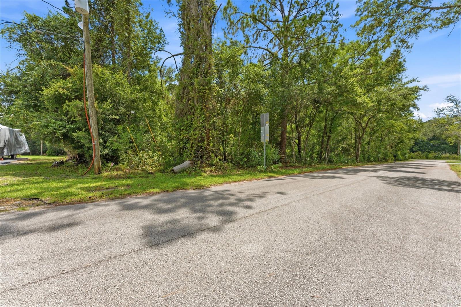 RAVEN BROOK RD, WESLEY CHAPEL, FL — photo 5
