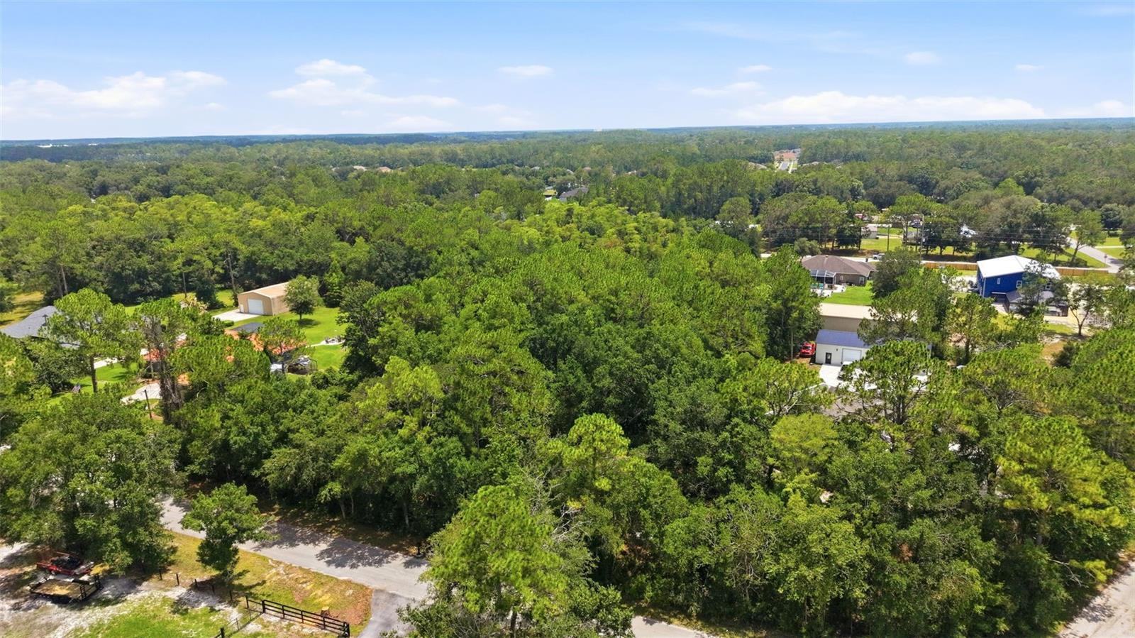 RAVEN BROOK RD, WESLEY CHAPEL, FL — photo 7