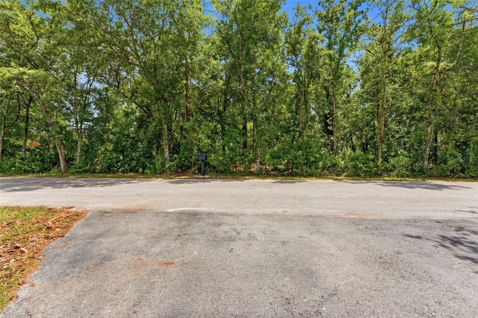 RAVEN BROOK RD, WESLEY CHAPEL, FL — photo 9