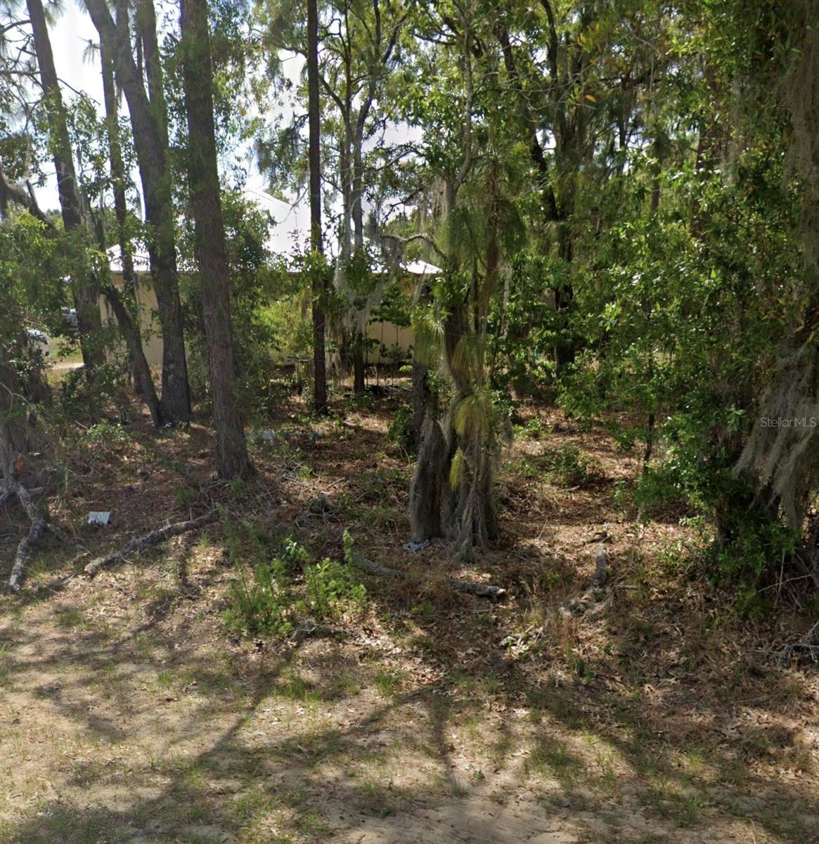 TBD PECAN PASS DR, OCALA, FL — photo 5