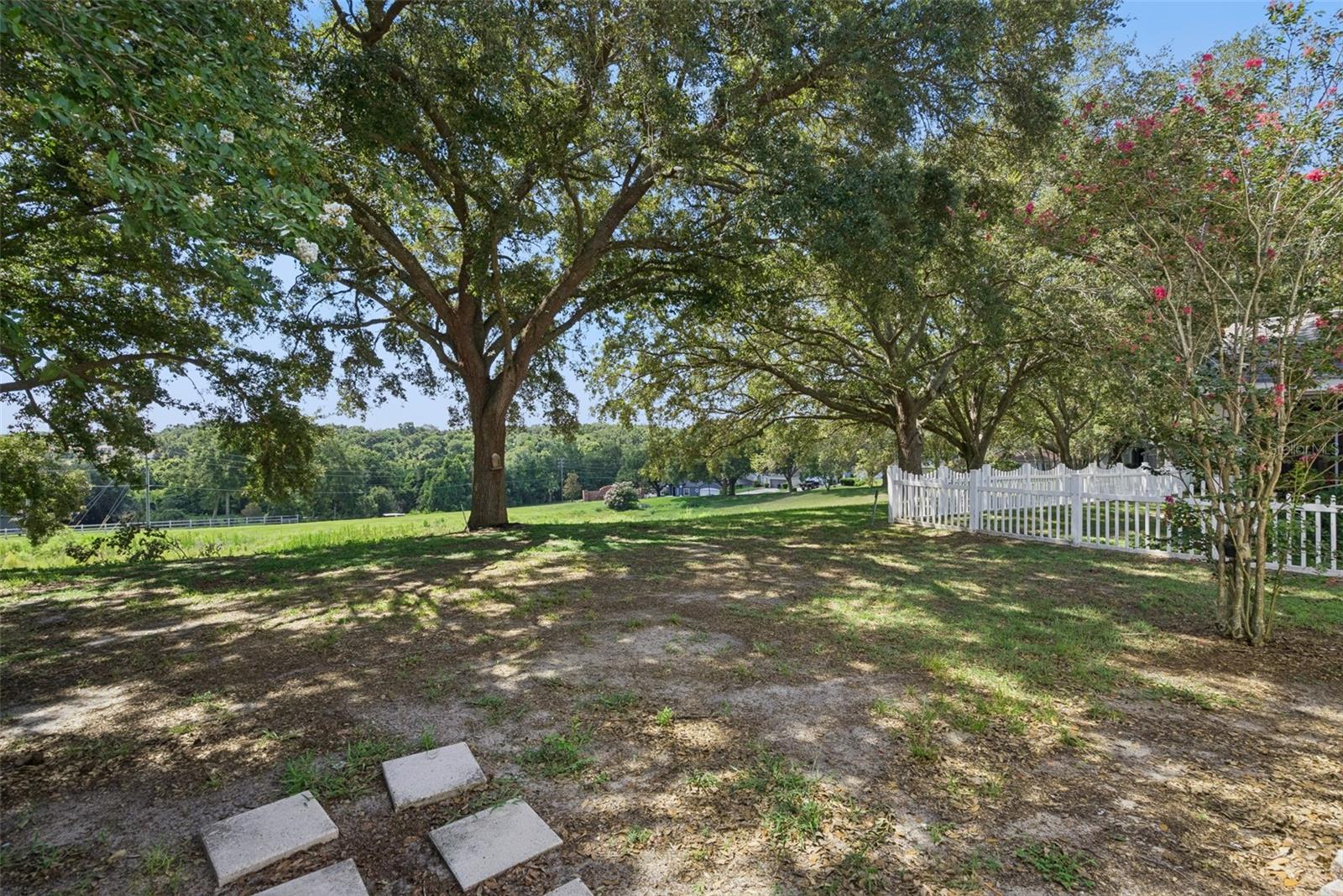 2080 CRANBERRY ISLES WAY, APOPKA, FL — photo 32