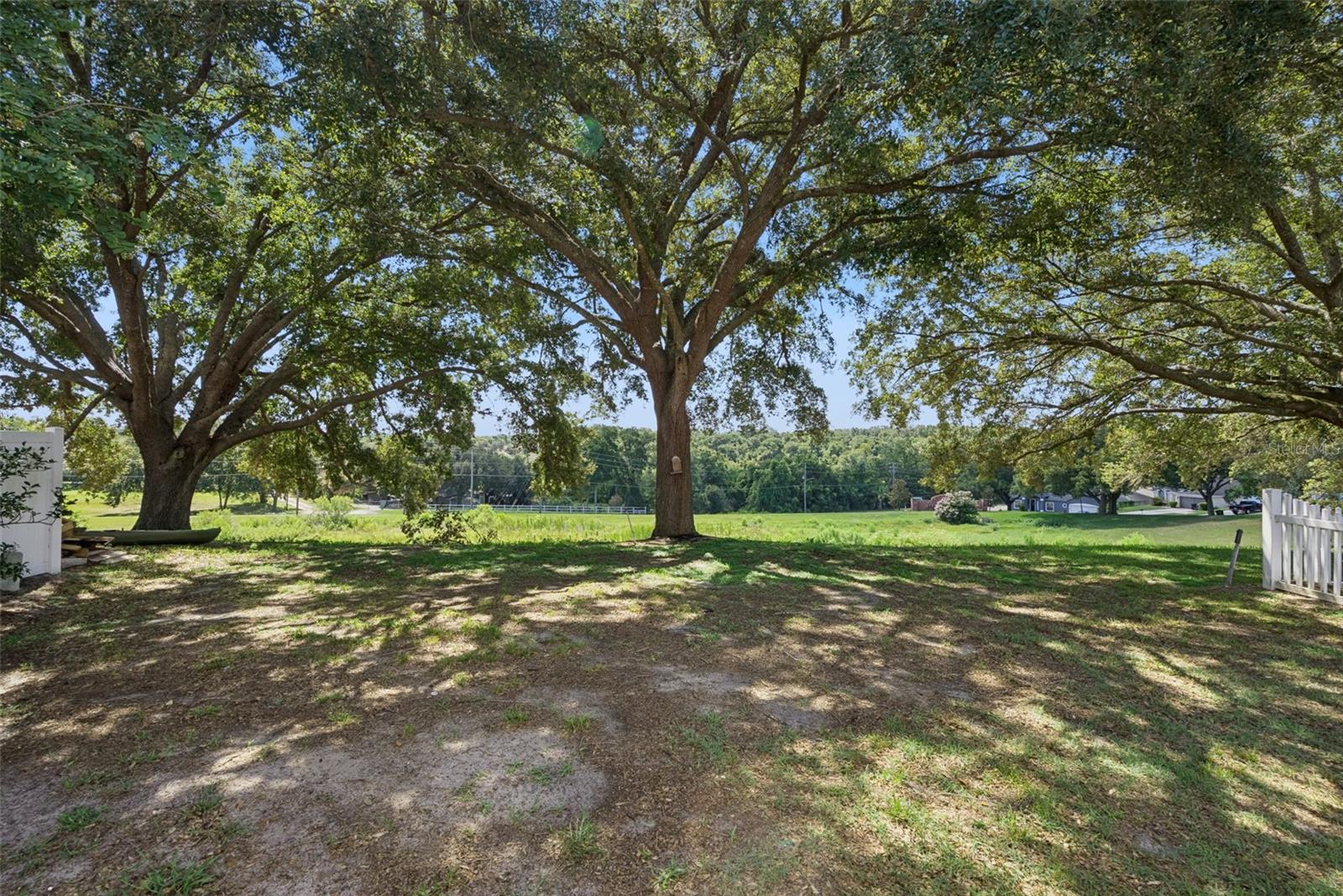 2080 CRANBERRY ISLES WAY, APOPKA, FL — photo 33