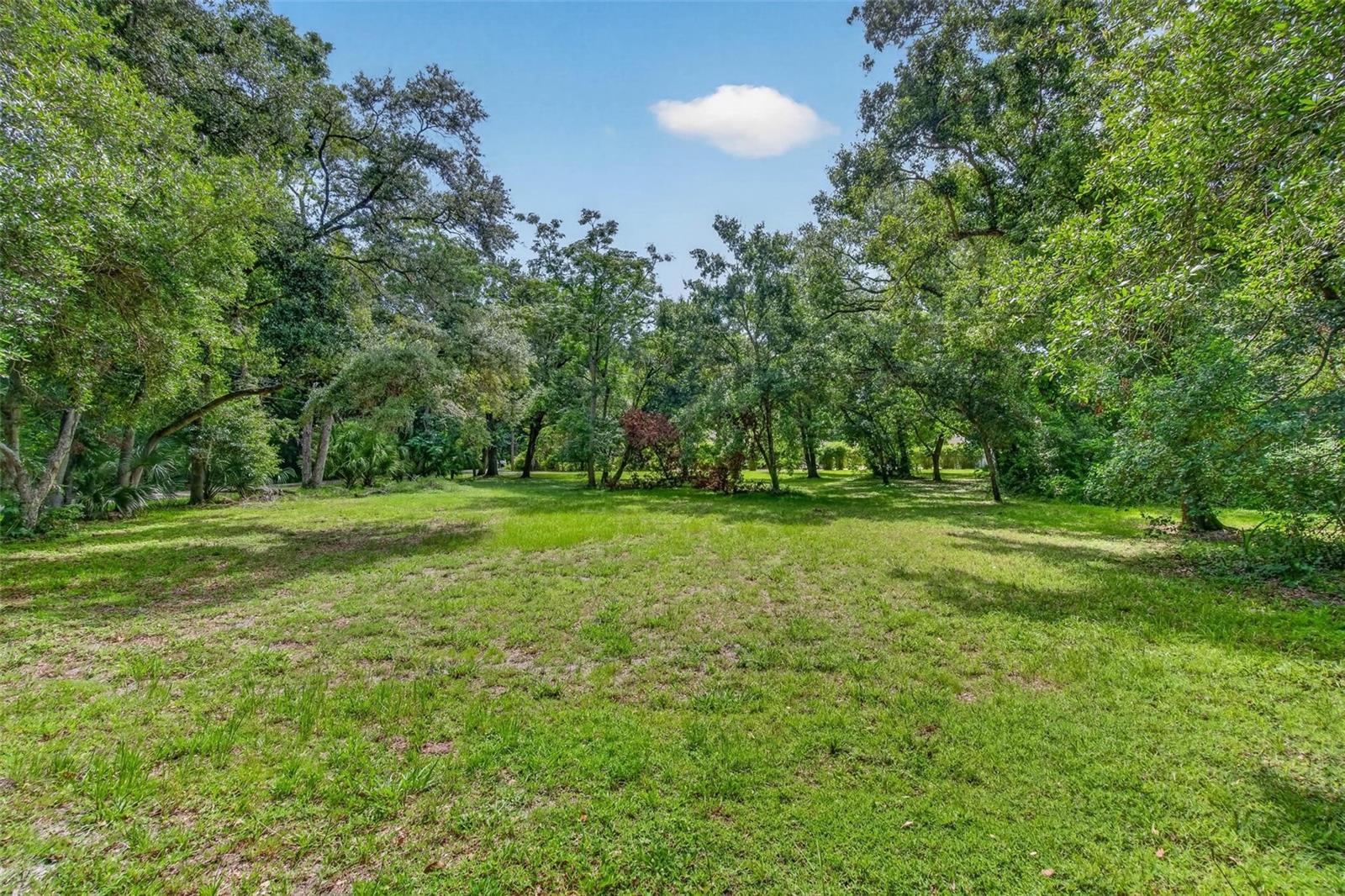 ABBEY LAKE RD, CLEARWATER, FL — photo 8