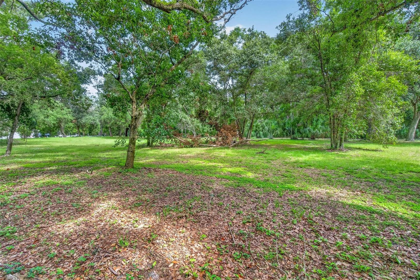 ABBEY LAKE RD, CLEARWATER, FL — photo 10