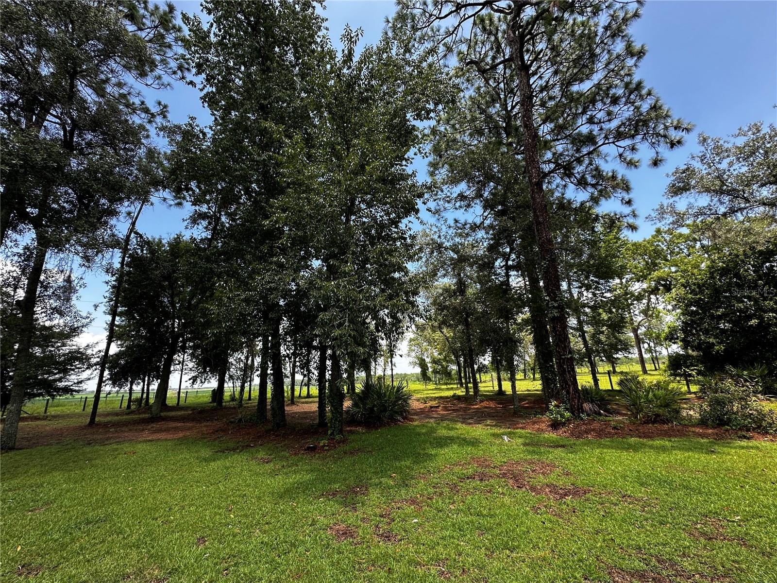 13730 SE 20TH ST, MORRISTON, FL — photo 5