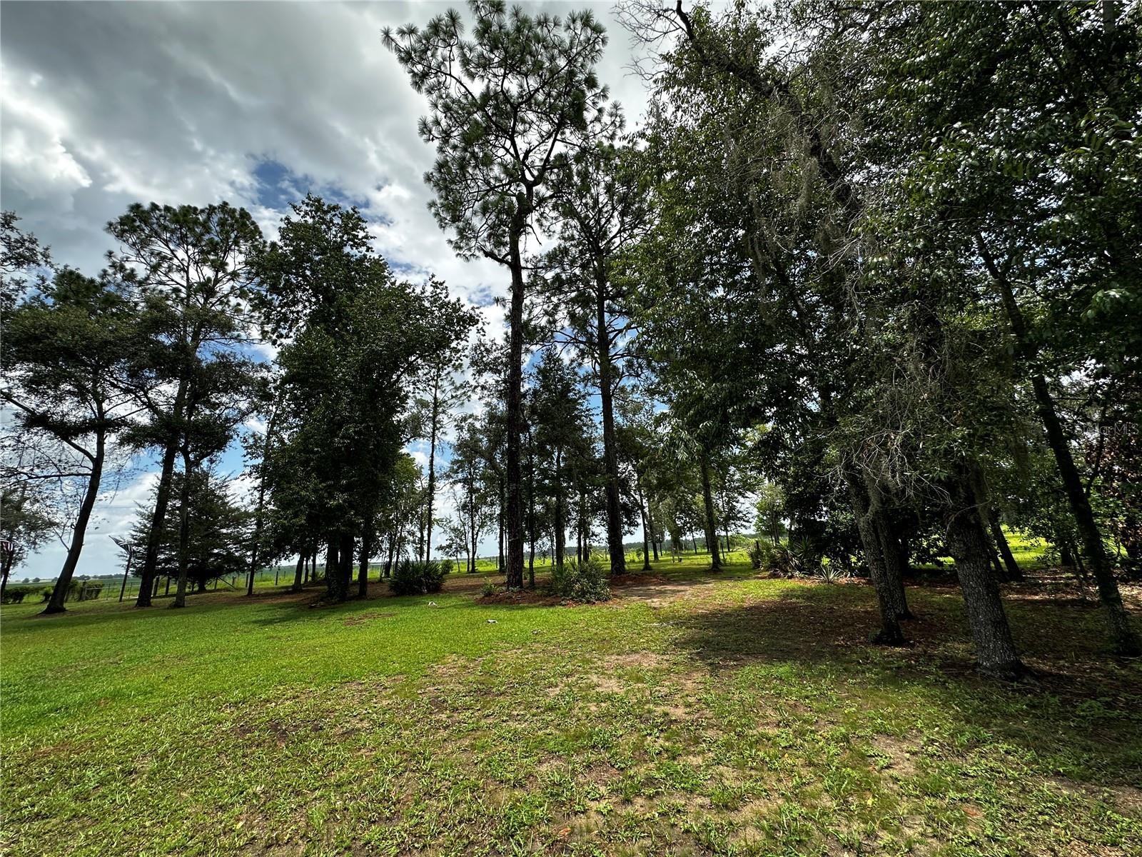 13730 SE 20TH ST, MORRISTON, FL — photo 34