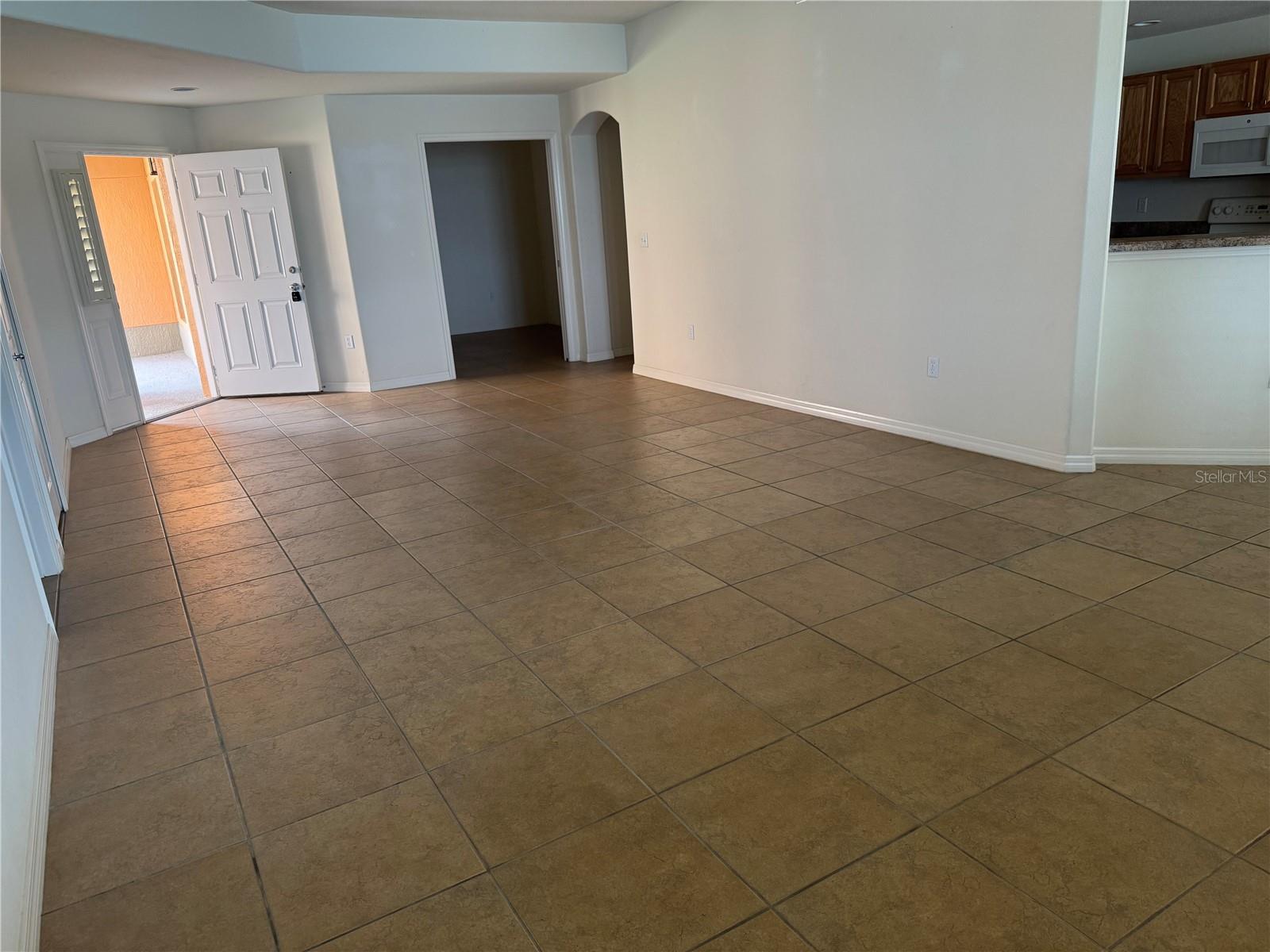 3939 SERENADE LN #513, LAKELAND, FL — photo 3