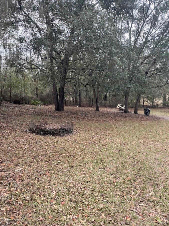 10330 NE 90TH ST, BRONSON, FL — photo 29