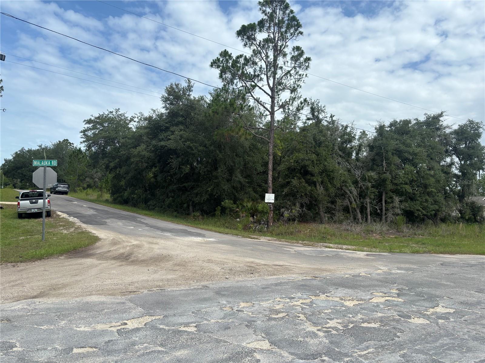 0000 MALAUKA PL, OCKLAWAHA, FL — photo 2