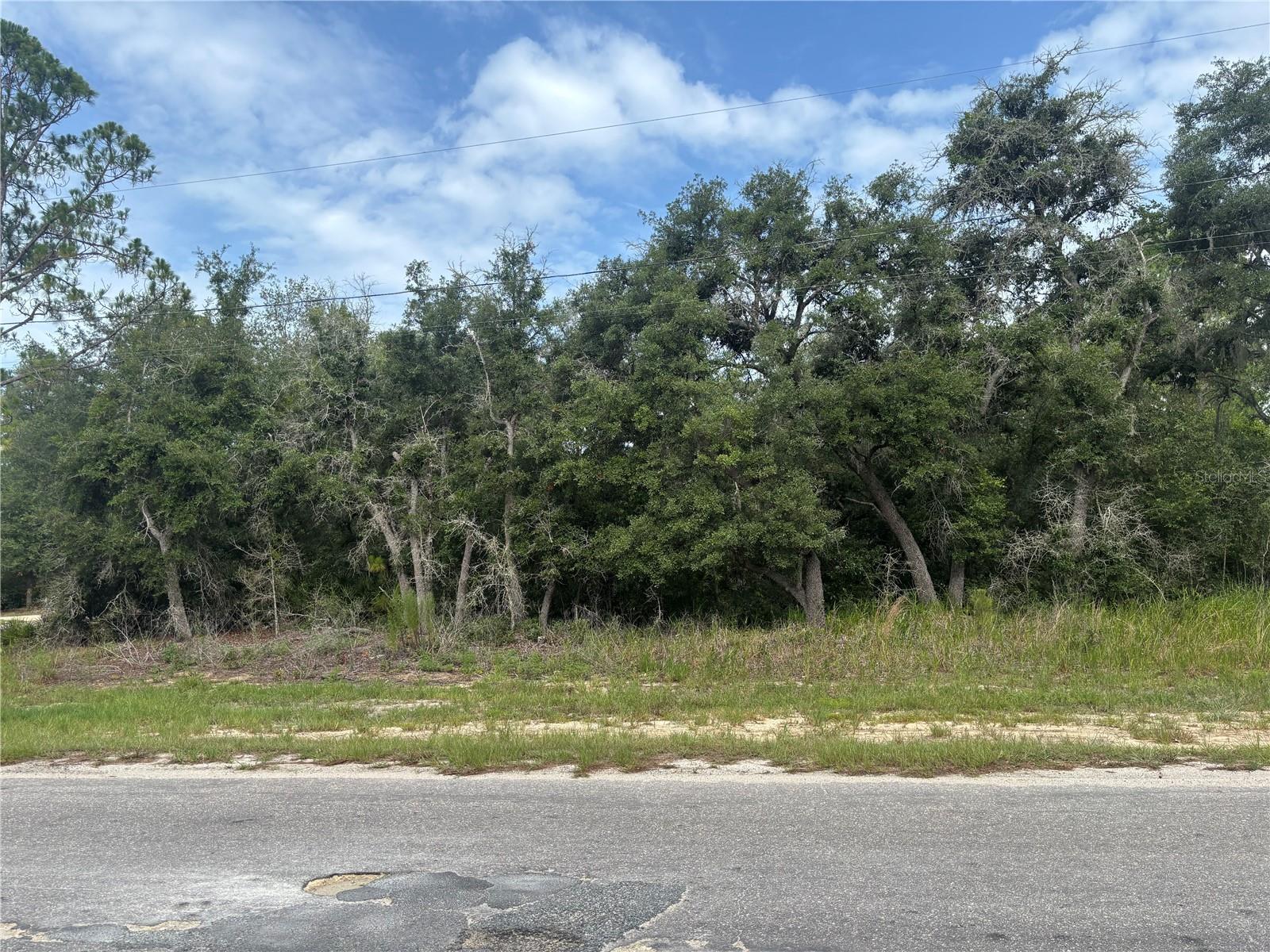 0000 MALAUKA PL, OCKLAWAHA, FL — photo 3