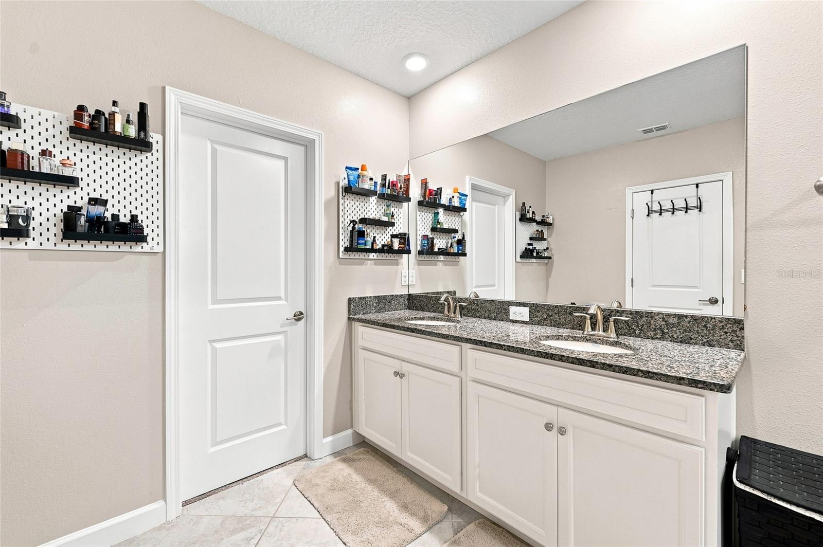 6809 VIA PERLOSO CT, TAMPA, FL — photo 44