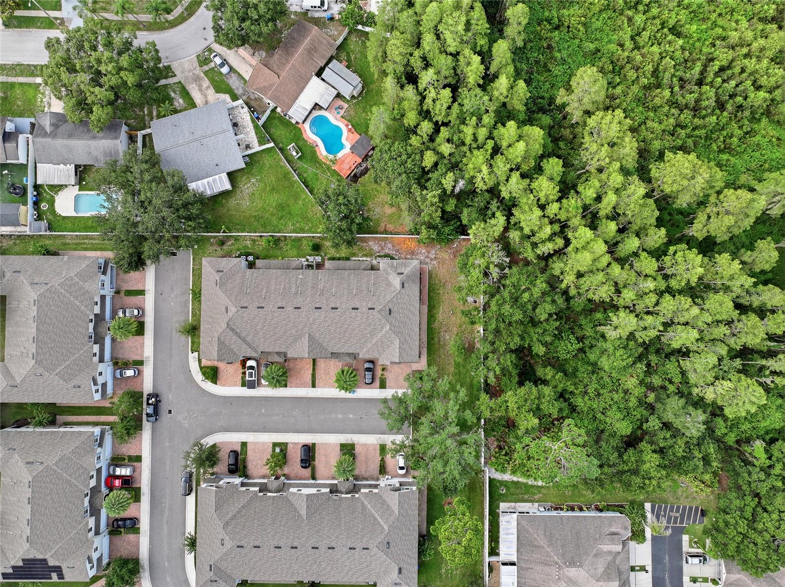 6809 VIA PERLOSO CT, TAMPA, FL — photo 75