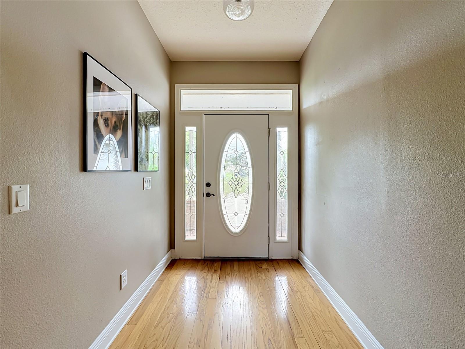 11319 TRALEE DR, RIVERVIEW, FL — photo 6