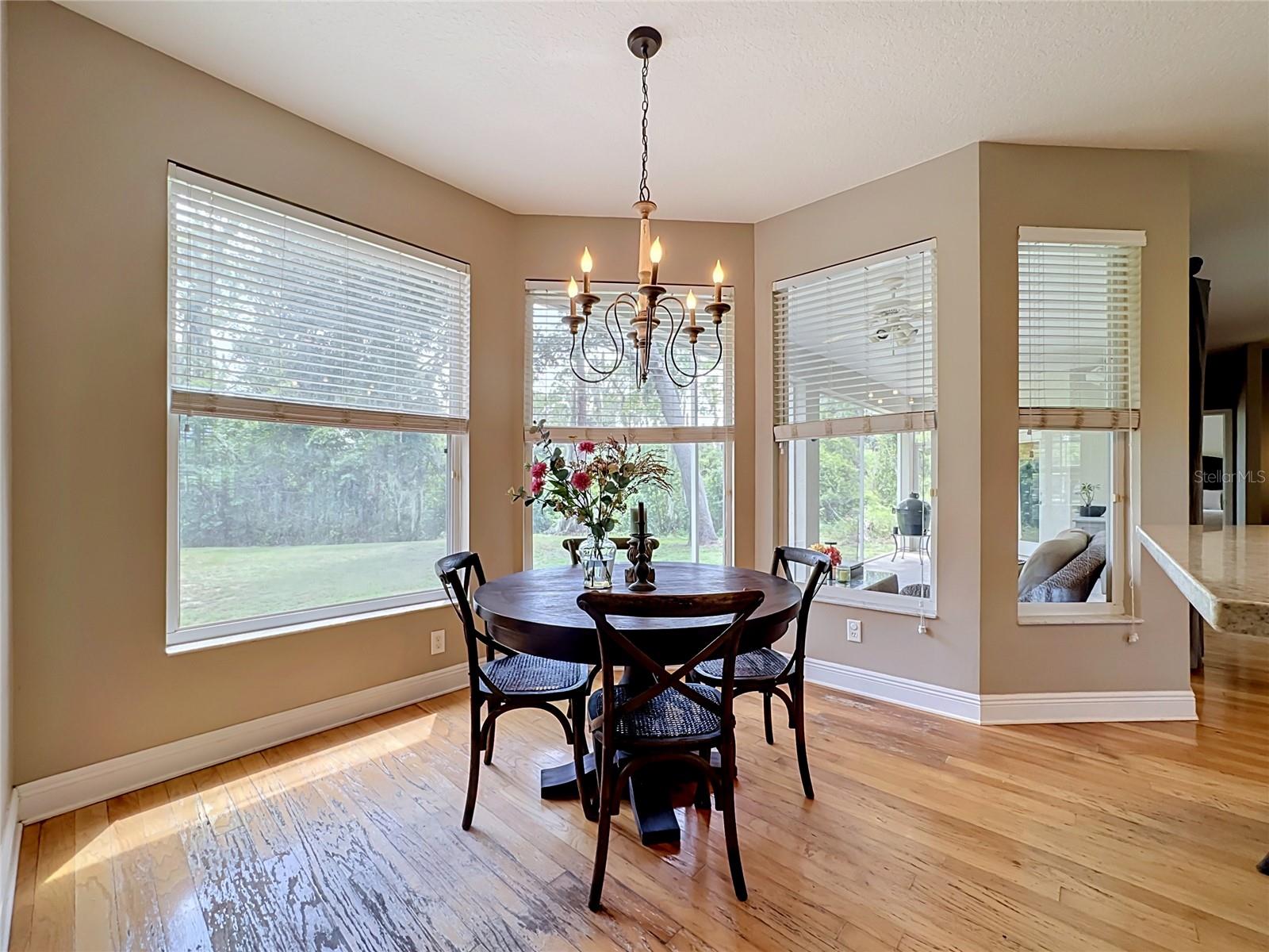 11319 TRALEE DR, RIVERVIEW, FL — photo 13