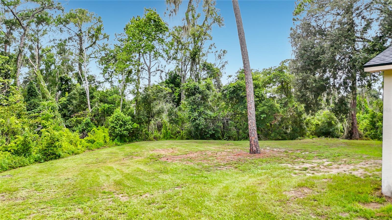 11319 TRALEE DR, RIVERVIEW, FL — photo 39