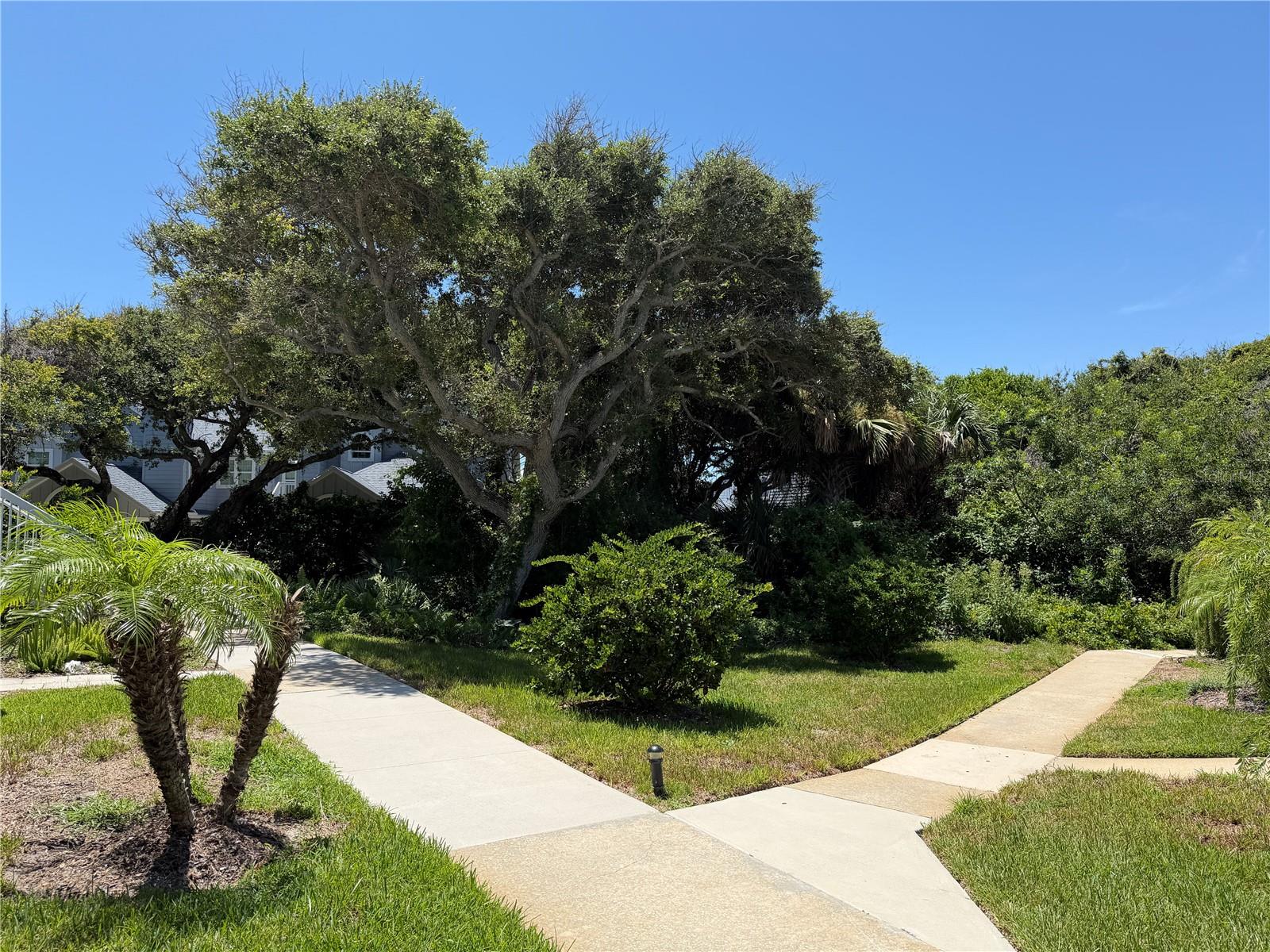 4268 SUN VILLAGE CT #320, NEW SMYRNA BEACH, FL — photo 24