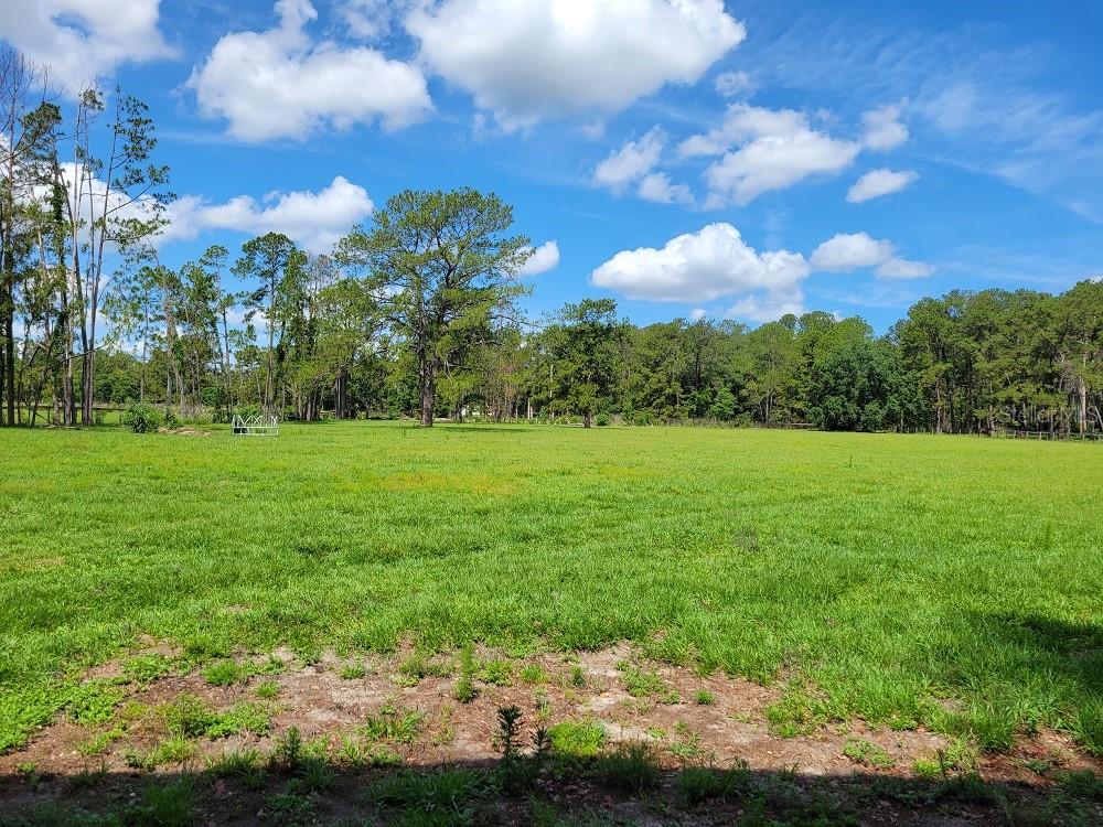 2484 CULBREATH RD, BROOKSVILLE, FL — photo 64