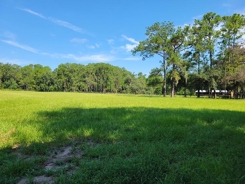2484 CULBREATH RD, BROOKSVILLE, FL — photo 69