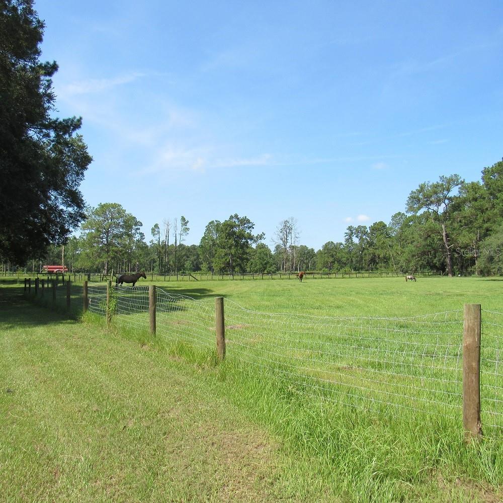2484 CULBREATH RD, BROOKSVILLE, FL — photo 71