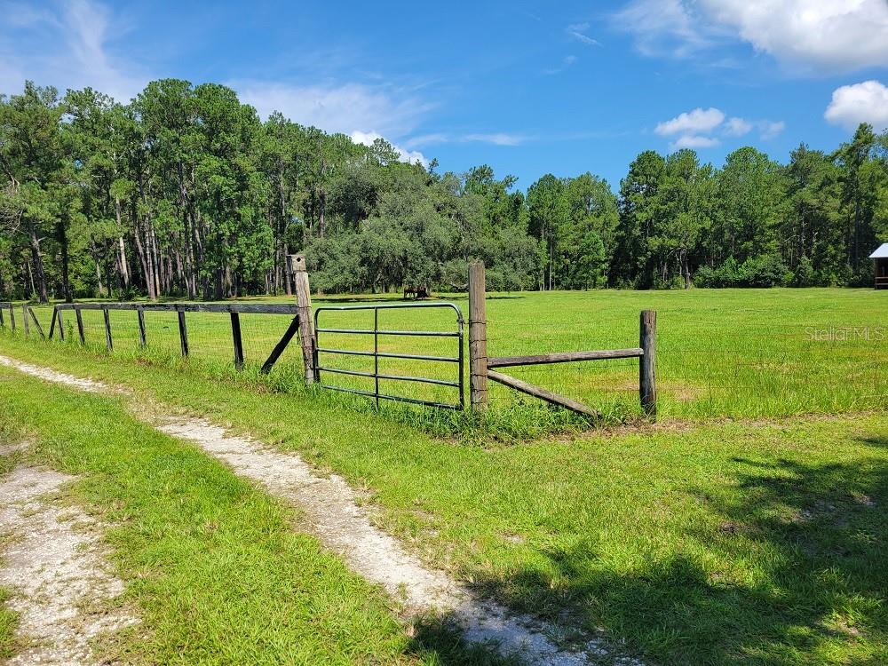 2484 CULBREATH RD, BROOKSVILLE, FL — photo 72