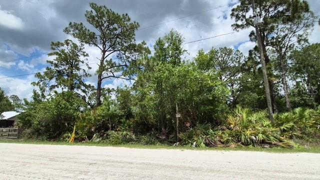 6006 HAZEL RD, SEBRING, FL — photo 9
